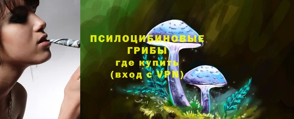 крисы Михайловка