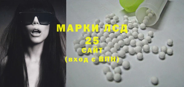 молекула духа Михайлов