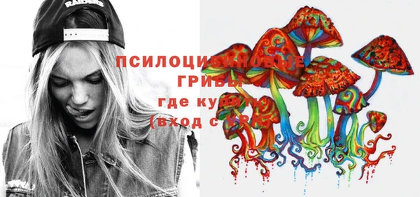 мдпв Медвежьегорск