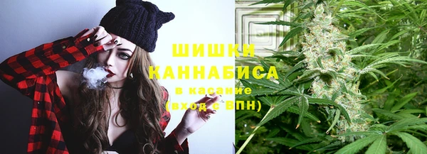 молекула духа Михайлов